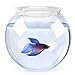 SunGrow Clear Bowl Aquarium (1 Gallon) – Classic Bowl for Bettas – Create Ideal Centerpieces for Weddings and Other Occasions – 360° View of Aquarium, Centerpiece, or Terrarium – Perfect for Officethumb 3