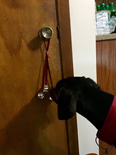 Cute Dog Door Bells for Housebreaking, Training and Communication (blue) - Thumbnail 3