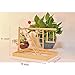 kathson Parrot Playpen, Bird Perch Playstand Parrot Playground Gym, Wood Ladder Swing Climbing with Toys Exercise Play for Parakeet Budgie Conure Hamsterthumb 1
