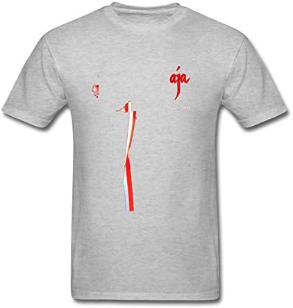 YLINTS Men's Steely Dan Aja T-shirt Size S Grey