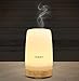 AUKEY Essential Oil Diffuser, 100ml Frosted Glass Ultrasonic Diffuser for Aromatherpay with Color Changing LED Lights and Auto Shut-off