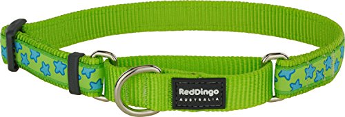 Red Dingo Martingale Lime Green with Turquoise Stars Collar, Small-Medium
