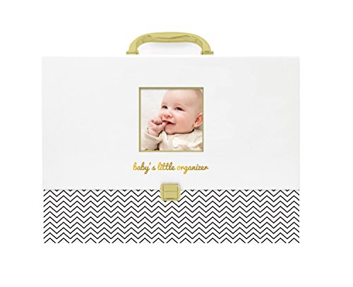 Pearhead Baby Document Organizer - Briefcase File Keeper to Store Baby's Records, Makes Great Gift for New Parents or Addition to Baby Shower Registry