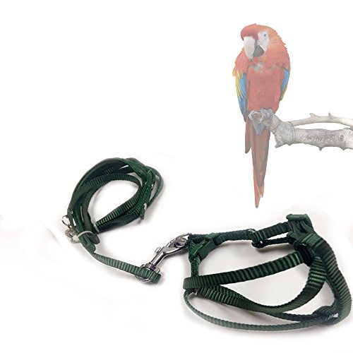 Asocea adjustable feather tether bird harness and leash for large…