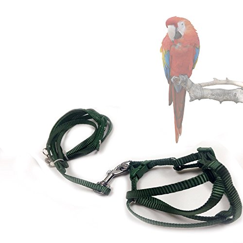 ASOCEA Adjustable Feather Tether Bird Harness and Leash for Large Breed Birds Parrots