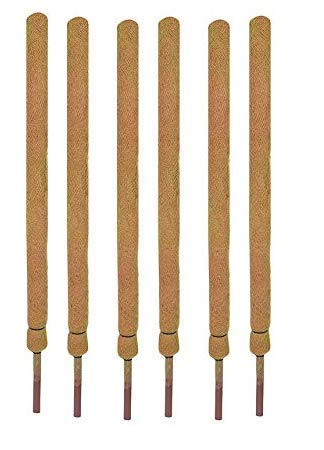 COIR GARDEN Coir Moss Stick, Brown, 4 feet, 6 Pieces
