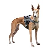 Dog Harness PYRUS Soft Reflective No Pull Dog Leash Padded Pet Walking Adjustable Harness for Dogs (22-27inch)