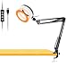 Workbench Light, Desk Ring Light with Swivel Clamp Arm,6'' USB Ring Light for Reading,Craft,Makeup,YouTube,Live Streaming,Study,Architect Drafting - Acetaken