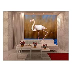 Greater Flamingo, Phoenicopterus Ruber, Pink Big Beautiful Bird in Dark Blue Water - Removable Wall Mural | Self-Adhesive Large Wallpaper - 66x96 inches