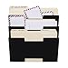Wallniture Lisbon Wall File Holder Organizer for Office Organization and Storage, 3-Tier Mail and Magazine Holder Metal Black