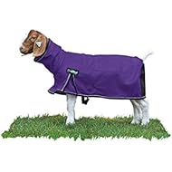 Weaver Leather Livestock ProCool Mesh Goat Blanket with Reflective Piping
