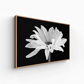 Canvas Wall Art for Living Room, Bedroom Monochrome Plants Framed Canvas Prints for Home Decoration Ready to Hang - 16x24 inches
