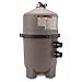 Hayward DE6020 ProGrid D.E. Pool Filter, 60 Square Foot, Vertical Grid