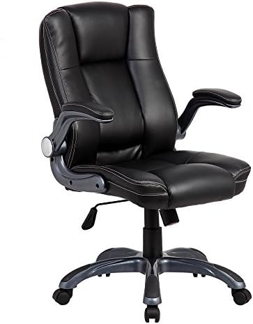 Eurostile High Back PU Leather Ergonomic Home and Office Executive Swivel Chairs (Black)