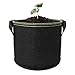 jecengs Non-Woven Plant Grow Bags, High-Intensity Transplanting Seedling Pot with Handle Black (10, 2Gallon(8.7″x7.9″))thumb 1