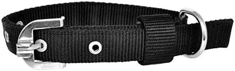 Wonder Wish Strong Dog Collar for Small, Medium and Large Breed Dogs (Black)