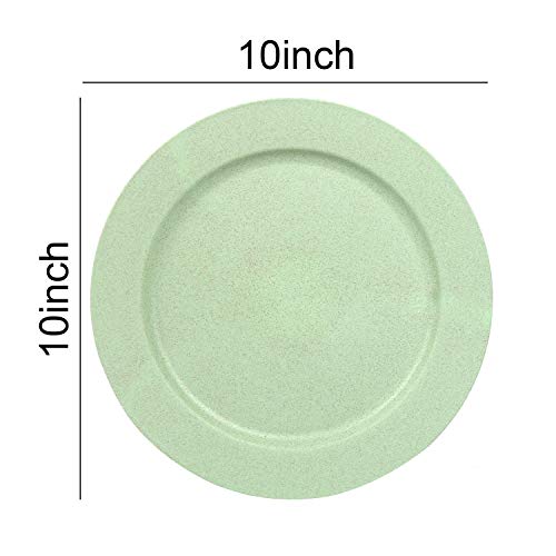 Shopwithgreen 6 pc 10 Inch Dinner Plates - Lightweight Unbreakable Wheat Straw Plates - Dishwasher and Microwave Safe