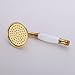 4 Inch Brass Fixed Handheld Shower Head with 60