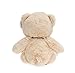 WILDREAM Teddy Bear Stuffed Animal Helloween Toys with Ribbon Bow-Ties, Cute Teddy Bears Stuffed Animals Plush for Kids Toddlers Boys Girls, Gifts for Helloween/Birthday/Christmas- 8 Inch (Beige)