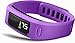 Garmin Vivofit Fitness Band