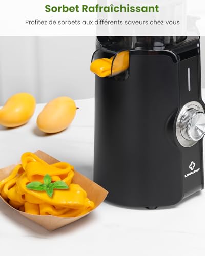 LINKChef Vertical Juicer | Slow Juicer 200W | Wide Mouth 115 mm for Whole Fruit & Vegetable | With Recipe Book, Easy Cleaning, BPA Free, Black