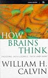 How Brains Think: Evolving Intelligence, Then and Now