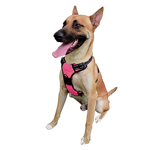 Dog Harness No Pull Dog Vest with Leash Adjustable & Reflective Pet Vest Harnesses and Leash Easy Control for Small Medium Large Dogs (Small, Pink) - Thumbnail 5