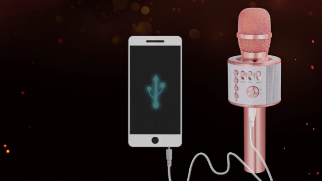 邦楽 MIC KAKKY Sing It Out Bluetooth Karaoke Microphone – Packed Party