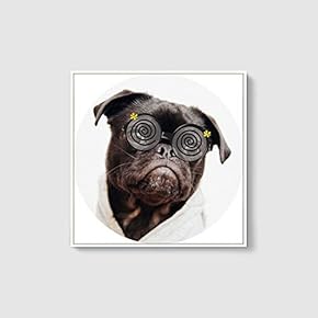 Framed Canvas Wall Art for Living Room, Bedroom Cute Animal Theme Canvas Prints for Home Decoration Ready to Hang - 16x16 inches
