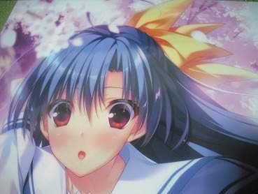 Amazon Co Jp Hooksoft th Anniversary Royal Box 02 17 桧山璃子 クリアファイル 鈴平ひろ 武田弘光 たかやki Pcゲーム さくらビットマップ ホビー 通販