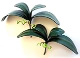 2 Artificial Green Flower Orchid Phalaenopsis Leaves Decorative Potted Plant Leaf Arrangement