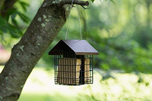 MEKKAPRO Double Suet Wild Bird Feeder with Hanging Metal Roof, Two Suet Capacity, Bird Feed Recommended (Renewed)