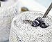 Food to Live - Organic Black Chia Seeds, 1 Pound Non-GMO, Whole, Sproutable, Vegan, Kosher, Keto, Sirtfood, Bulk. Rich in Essential Fatty Acids, Fiber, Protein.