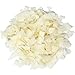 Food to Live Organic Coconut Chips, 3 Pounds - Non-GMO, Kosher, Raw, Desiccated, Unsweetened, Unsulfured, Dried Flakes, Vegan, Keto, Bulk, Great for Baking
