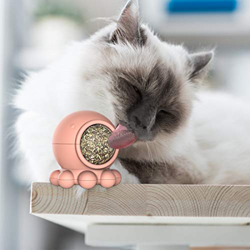 Idepet Catnip Toy for Cat, Catnip Ball Edible Kitty Toy Interactive with Octopus Shape Design Improve Appetite and Digest