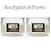 Hosley Set of 2 Eucalyptus & Thyme Highly Scented 2 Wick, 10 Oz Jar Candle. Ideal Gift for Party Bridal, Wedding Day Spa Reiki, Meditation, Bathroom O9