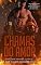 Livro Chamas Do Amor : Série Amor Proibido 01