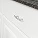 AmazonBasics Modern Curved Cabinet Handle, 5.25