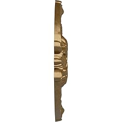 Ekena Millwork CM17SOPASDecorative Ceiling