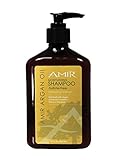 Amir Argan Oil Sulfate Free Shampoo, 12 Fl Oz