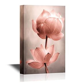 Lotus Flowers Premium