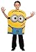 Despicable Me Child's Costume, Minion Dave Costume, Small (US Size 4-6)