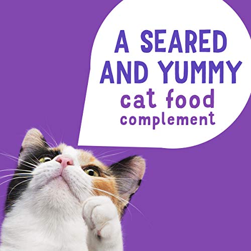 Purina Friskies Gravy Wet Cat Food Complement, Lil' Grillers Seared