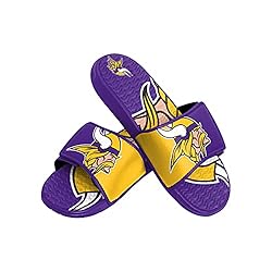 FOCO Minnesota Vikings NFL Mens Colorblock Big Logo