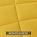 Basic Beyond Down Alternative Comforter Set (Queen, Lemon/Pink) - Reversible Bed Comforter with 2 Pillow Shams for All Seasons
