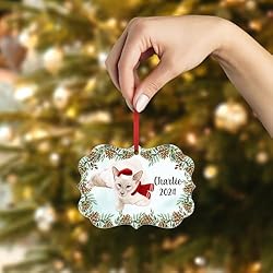 Lilac Balinese Cat Christmas Ornament 2024