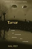 Front cover for the book Tamar: A Novel of Espionage, Passion, and Betrayal by Mal Peet