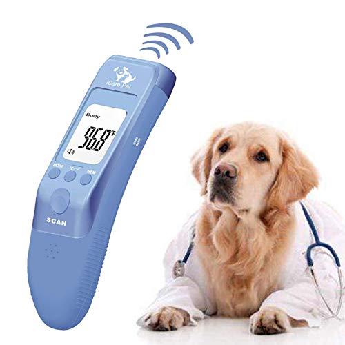 Compare Price equine digital thermometer on