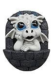 World of Wonders Adventure Awaits White Ice Dragon