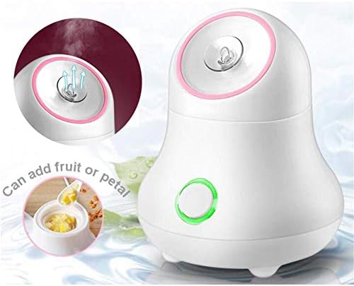 FMEZY Hot Facial Steamer Fruits & Vegetable &Petals Humidifier Moisturizing Unclogspores Mist Nano Water Sprayer for Spa Salon Skin Sauna Care Tools